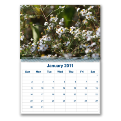 Calendars - Wall Calendars - Wall